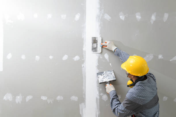 Best Real Estate Mold Inspection  in Black Forest, CO