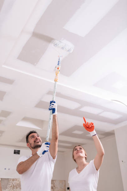 Black Forest, CO Mold Removal Company