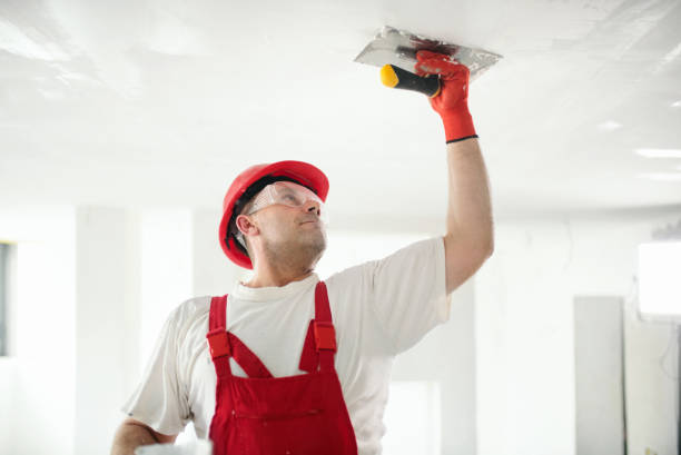 Best Water Damage & Mold Remediation  in Black Forest, CO