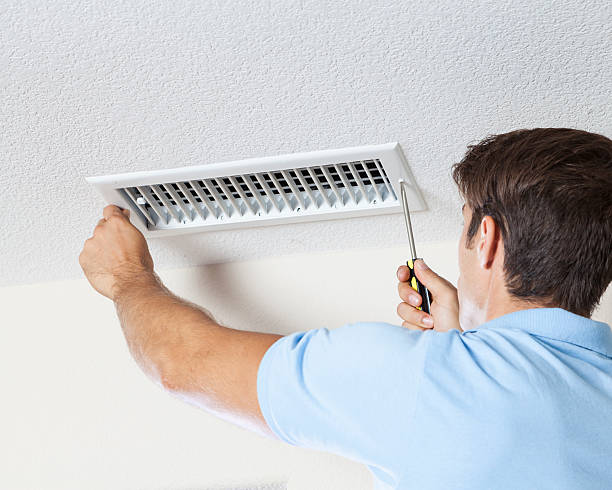 Best Biohazard Mold Removal  in Black Forest, CO