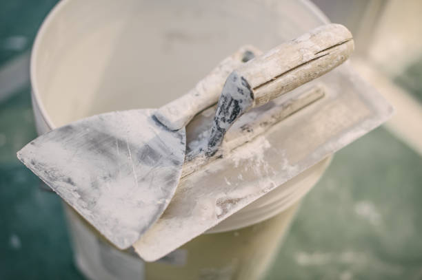 Best Water Damage & Mold Remediation  in Black Forest, CO