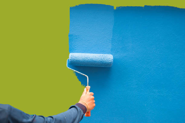 Best Mold Damage Restoration  in Black Forest, CO
